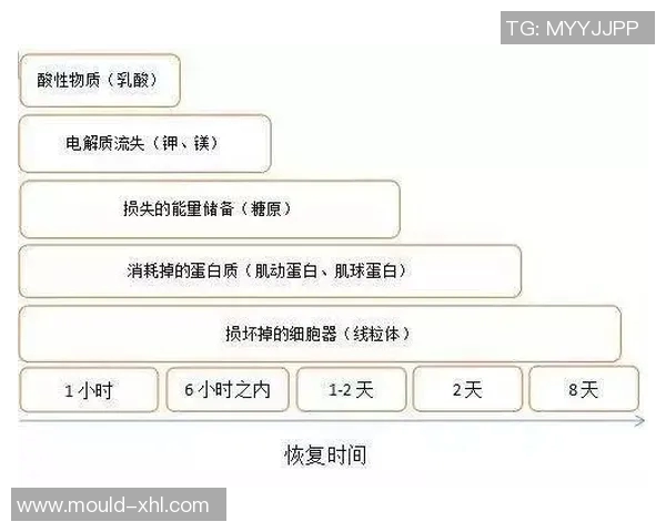足球明星如何科学管理饮食与训练以保持理想体重和竞技状态